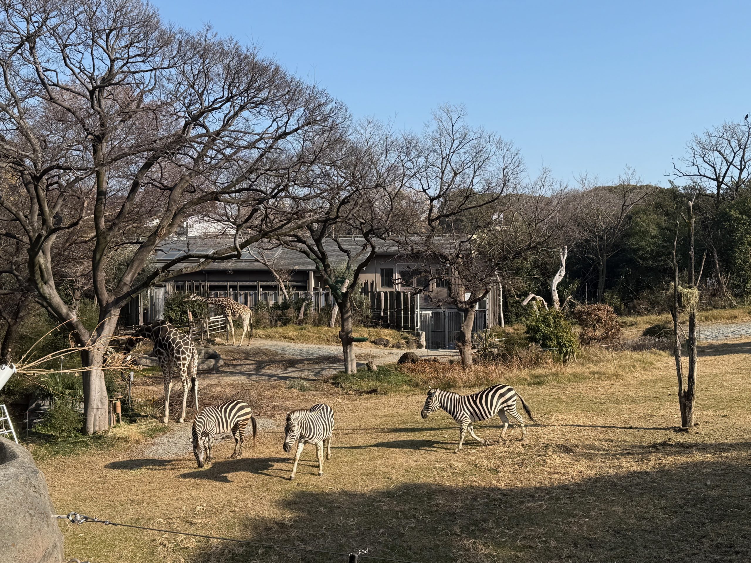 Osaka-Kyoto-Nagoya:day1