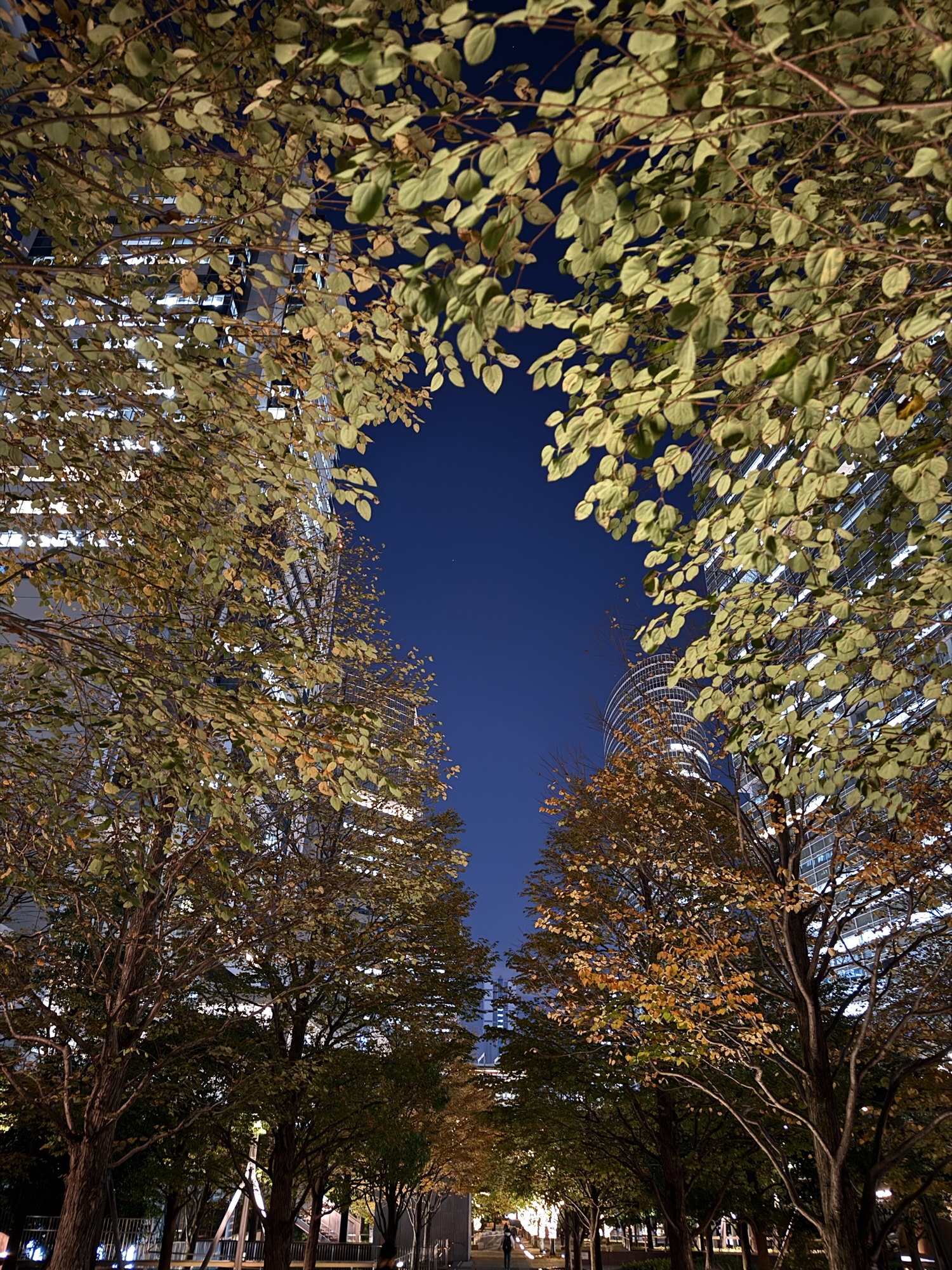 Nagasaki Cuisine at Shinagawa