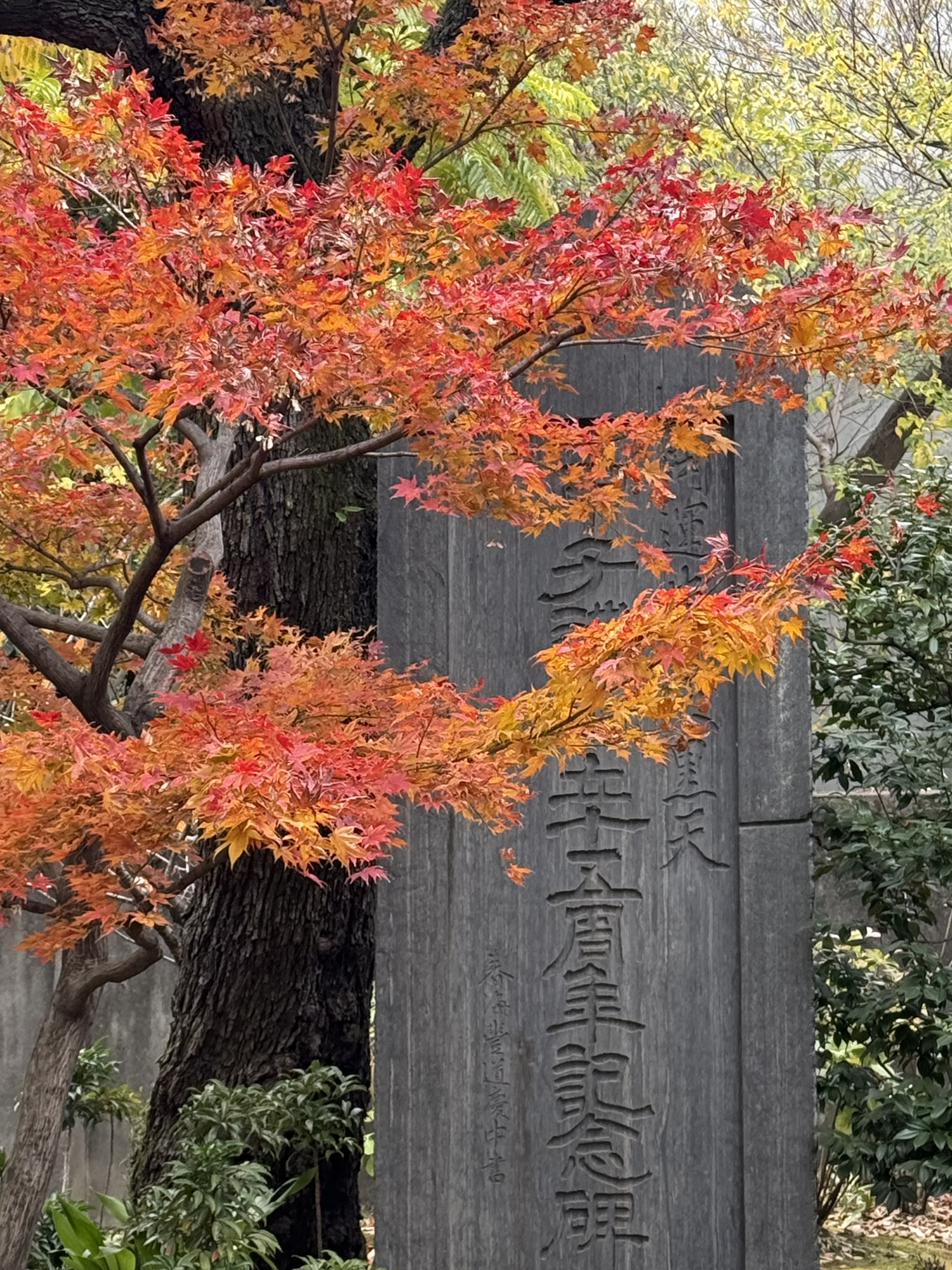 Museum and Halal Chinese Cuisine