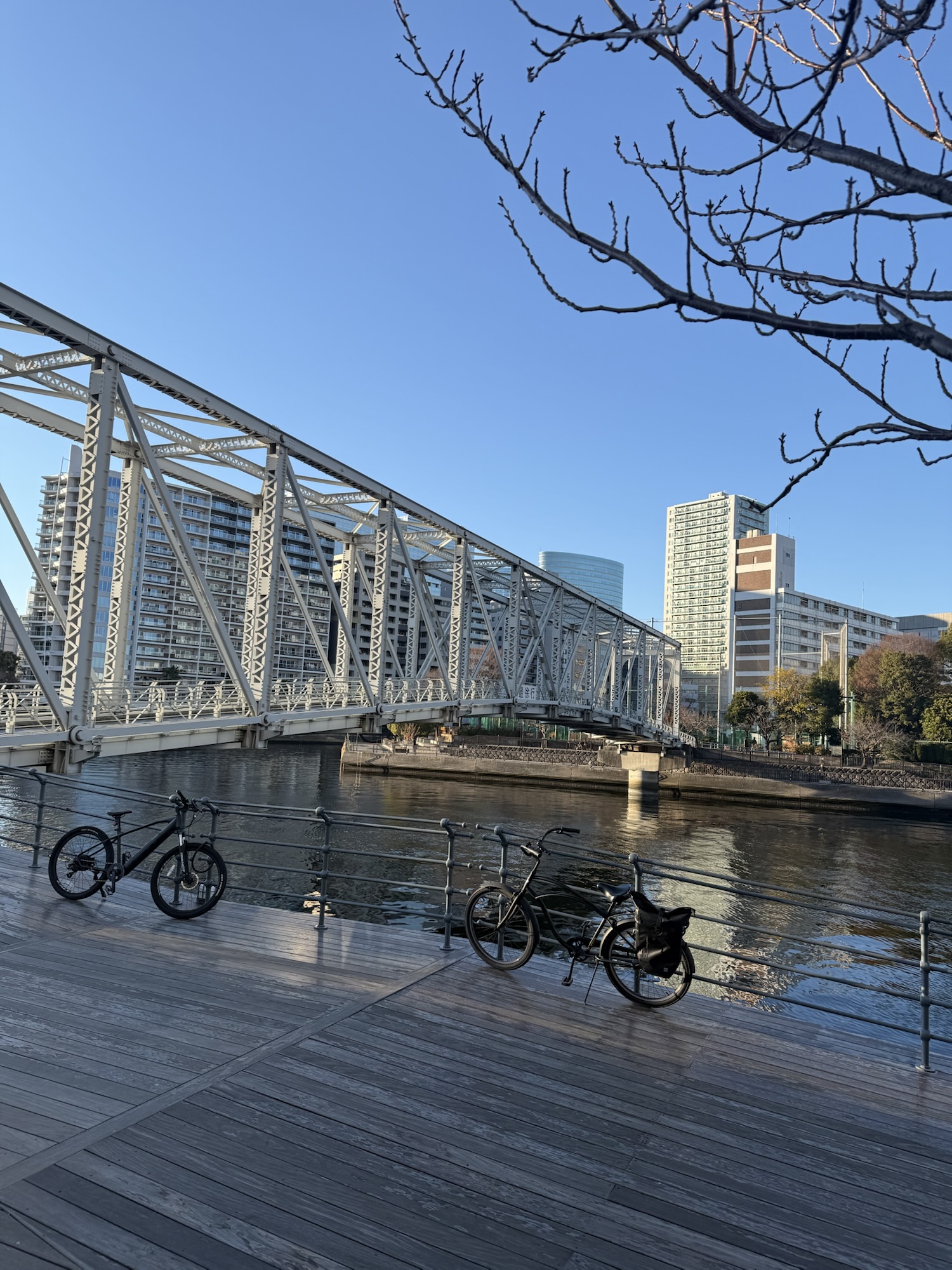 オオフジツボとその仲間たち at KIWA TENNOZ